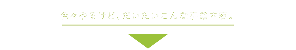 いろいろやるけど、だいたいこんな事業内容